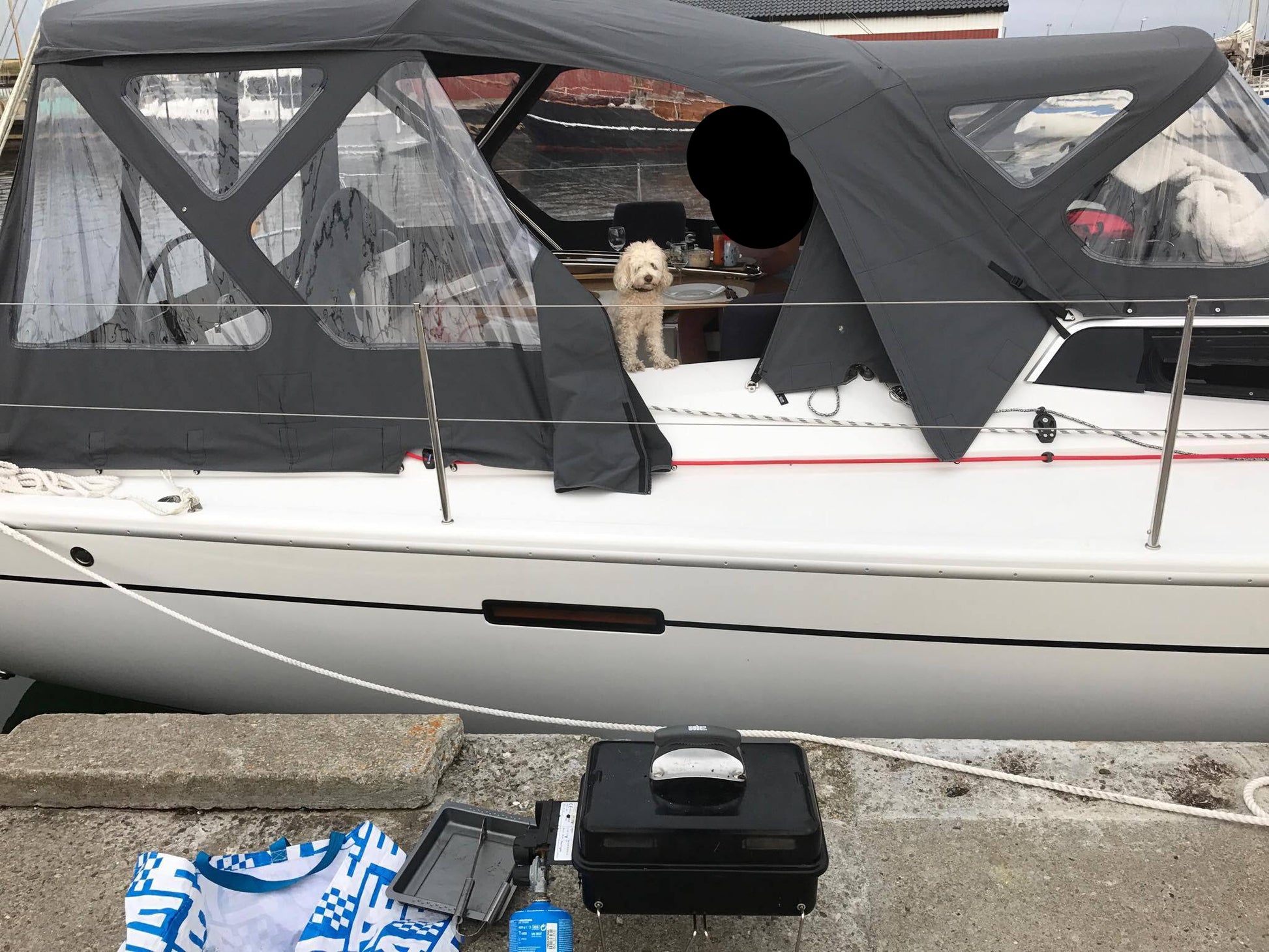 Dehler 42 Cockpitzelt Cockpitzelt